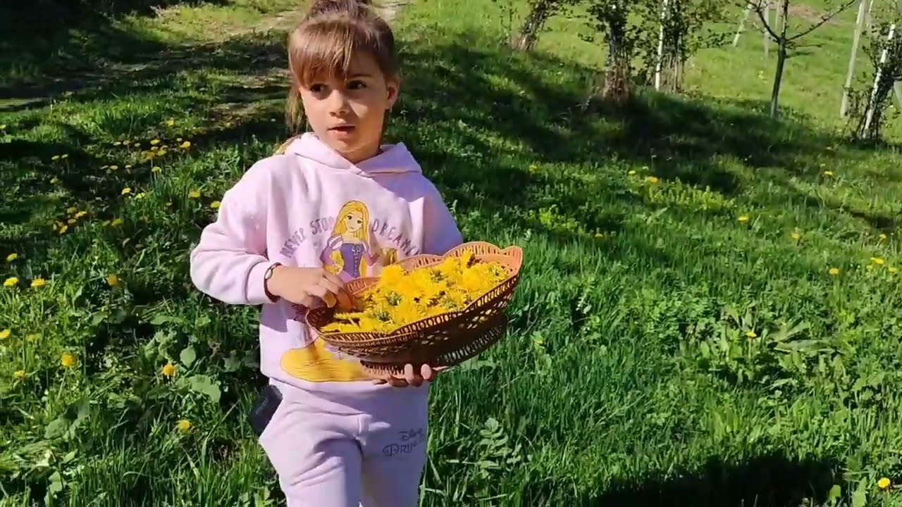 Vikend na selu🏡🌲Sakupljanje ljekovitog bilja 👌