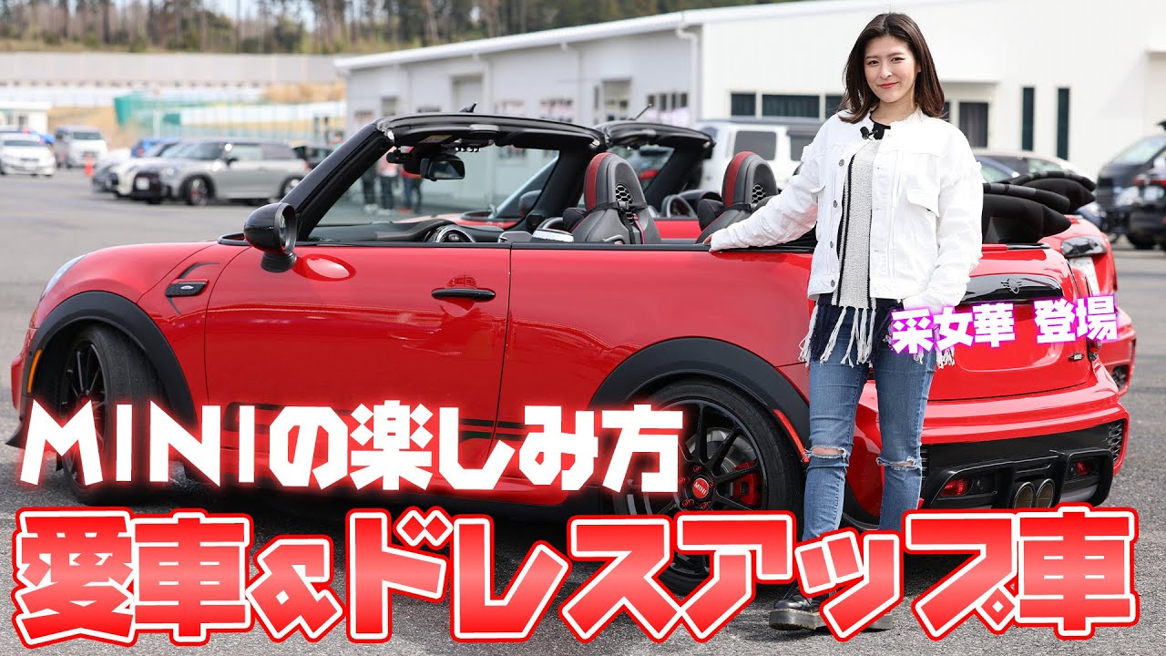 【MINI】楽しみ方満載！MINIのドレスアップ車＆愛車を紹介！【ハイスタ】