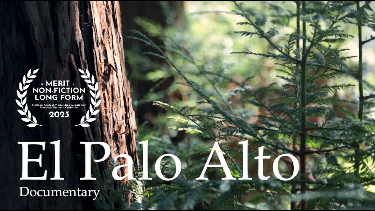 El Palo Alto: A Tree's Resilience | Documentary