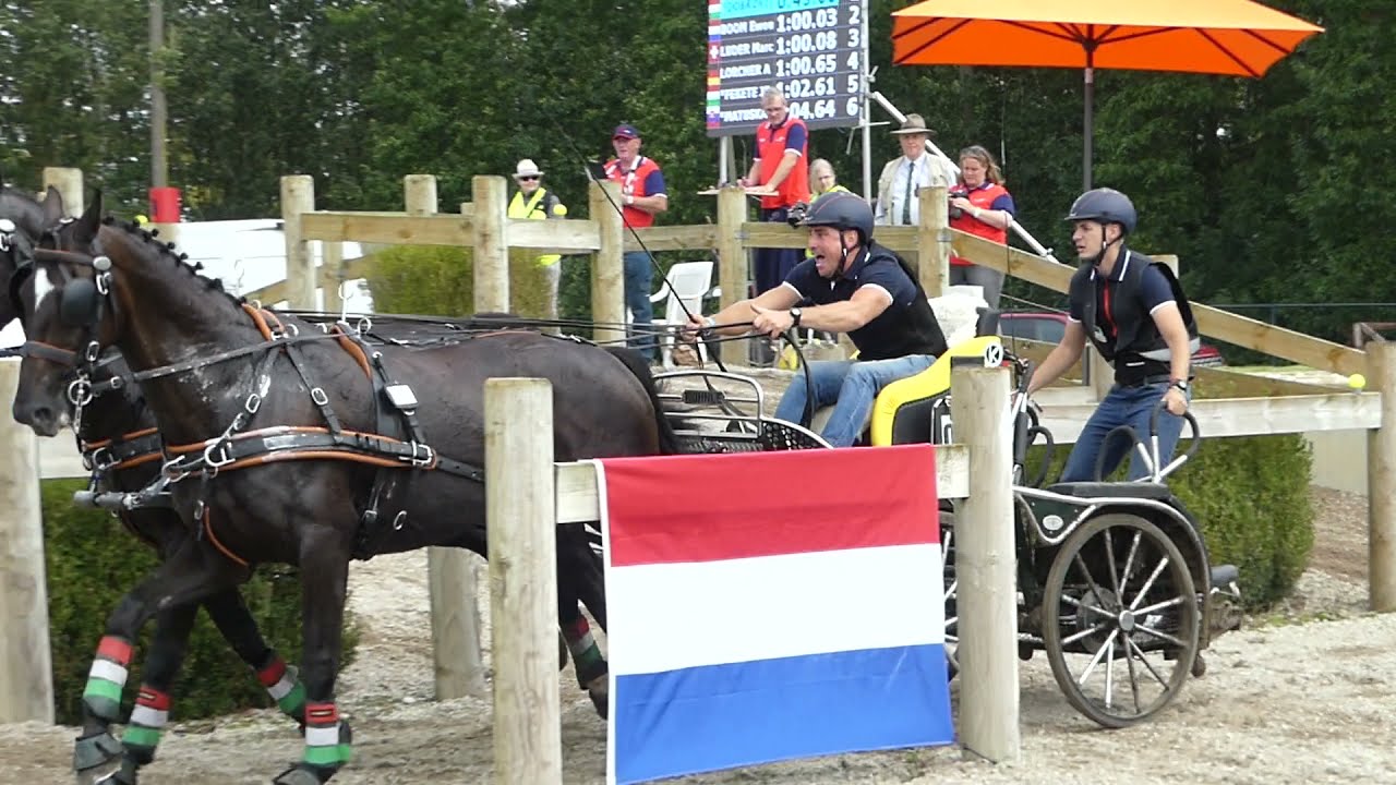 DOBROVITZ J&oacute;zsef Jr , HUN, FEI WCH Pairs, Kronenberg NL, Marathon Obs 7, 11 09 2021