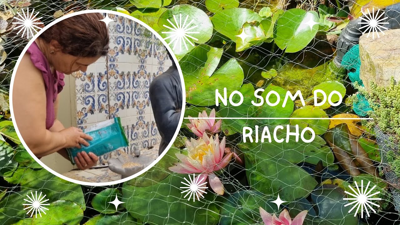 No meu jardim encontro serenidade❤️/ almoço simples e gostoso/ #vlog #comveravale 