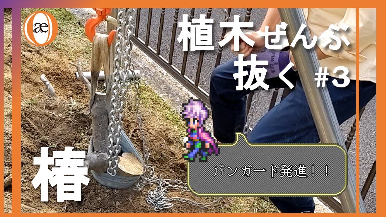 【DIY】大地の鎖を断ち切れ #3 椿【抜根】【バンガード発進】