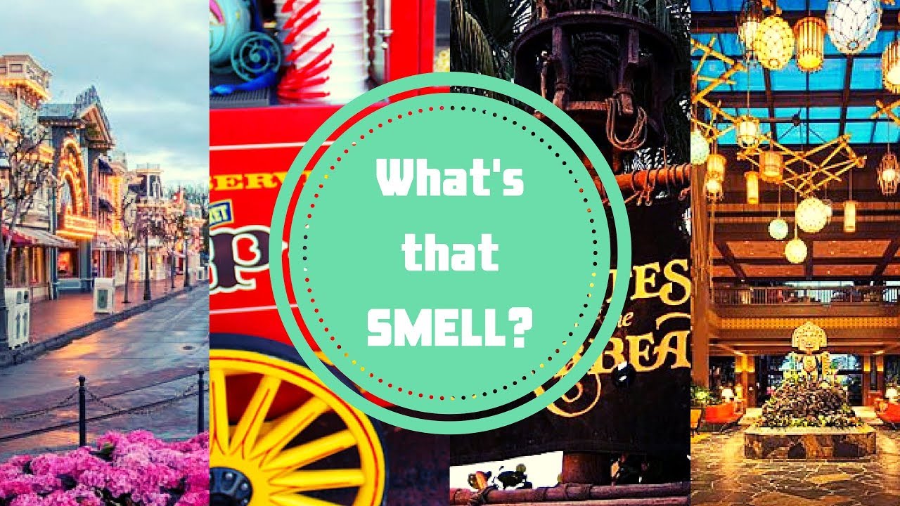 Объяснение запахов Диснея | Disney's Smellitizer