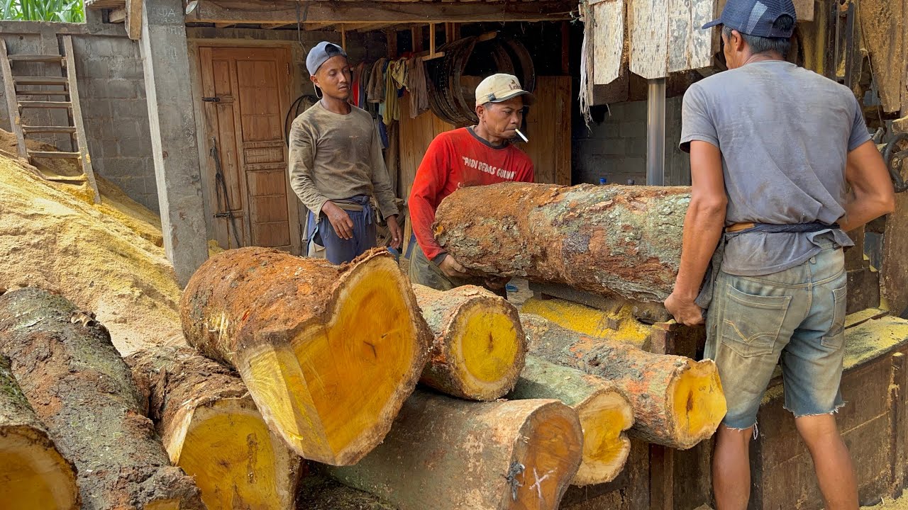 CRAZY!! Hundreds of Years Old Jackfruit Wood Costs the Same as a Luxury Car When Sawed into Blocks