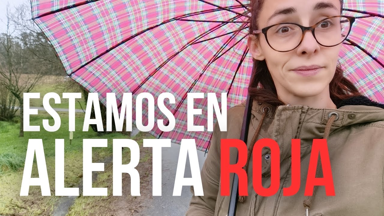 Dias de temporal y dias de DEPURAR! | Limpieza de ropa de los niños | Vlog