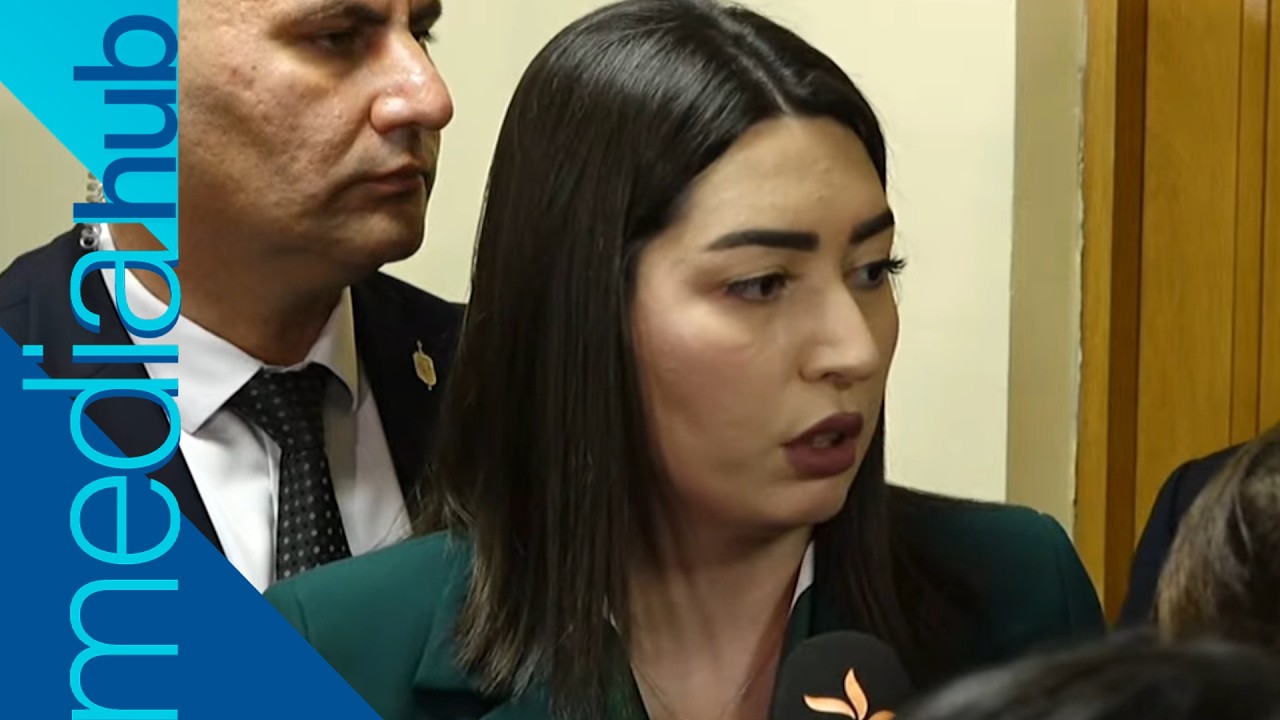 Հայաստանը Սիցիլիա է դարձել, ինչու՞ չեն կանխվում սպանությունների դեպքերը․ՆԳ նախարարի պարզաբանումը