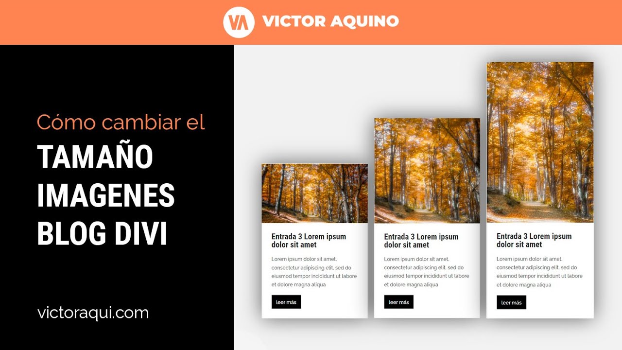 🥇 Cómo cambiar el tamaño de las imágenes de las entradas del módulo Blog Divi 🥇