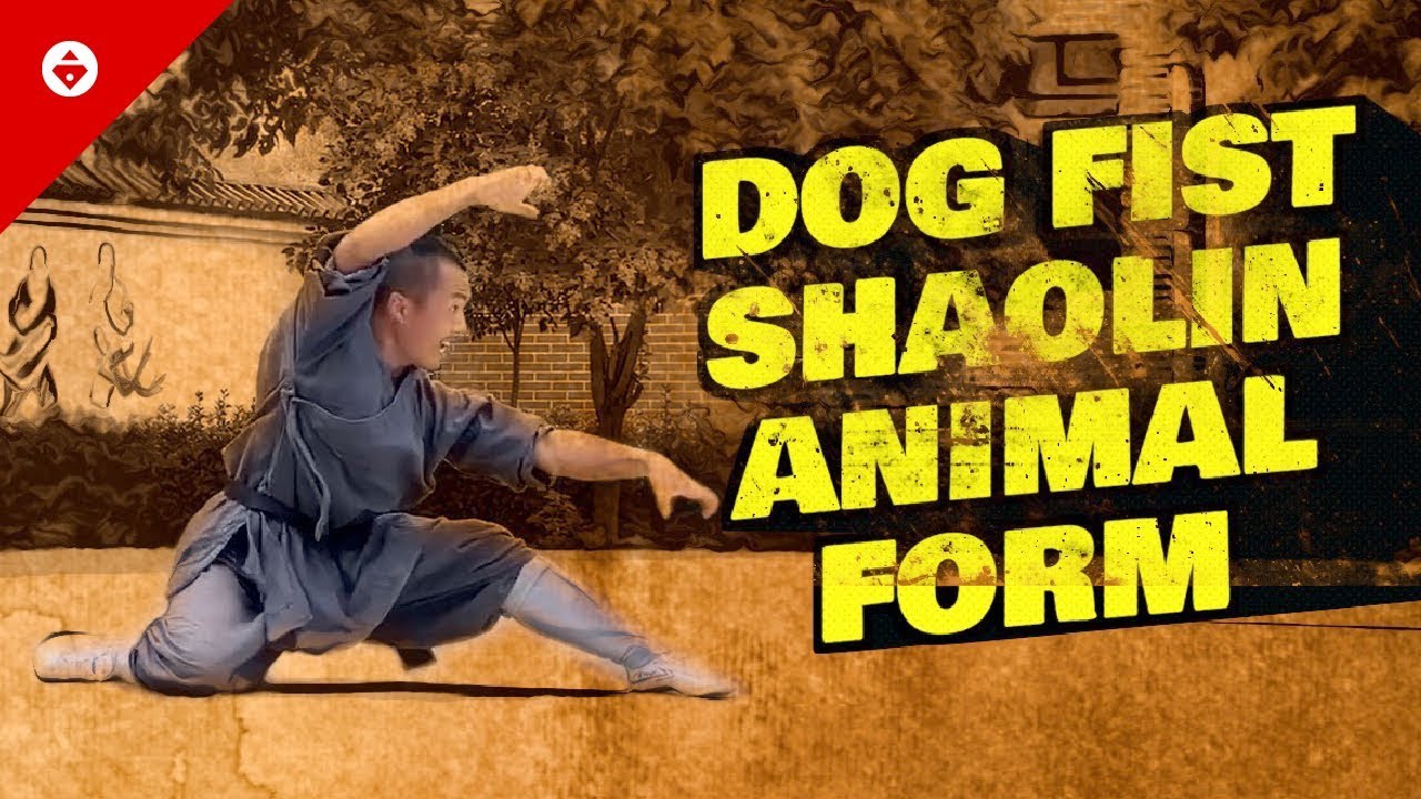 Dog Fist 狗拳 [Gǒu Quán] // Shaolin Kung Fu