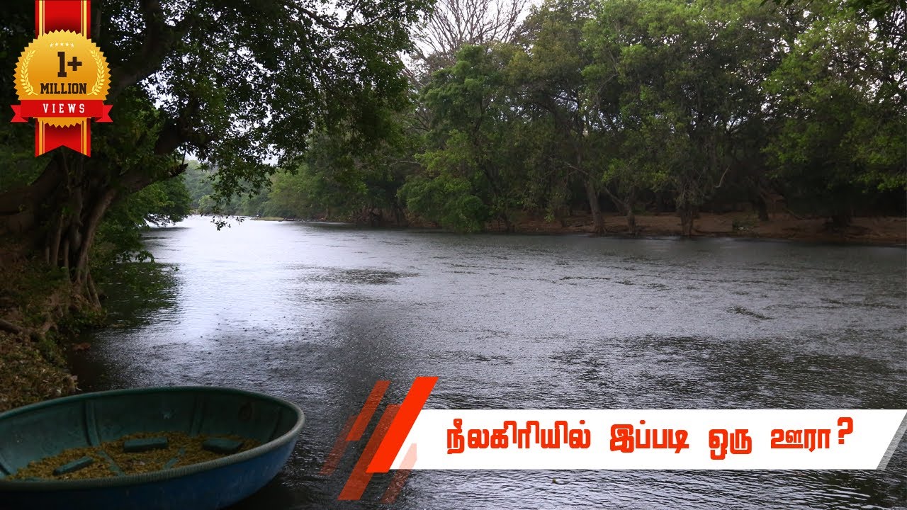 தமிழ் நாட்டில் இப்படி ஒரு இடமா? | Village Tour | Thengumarada | Kodanadu  | Nilgiris – India #tamil