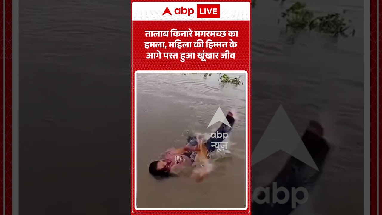 Viral Video : तालाब किनारे मगरमच्छ का हमला, महिला की हिम्मत के आगे पस्त हुआ खूंखार जीव | #viral
