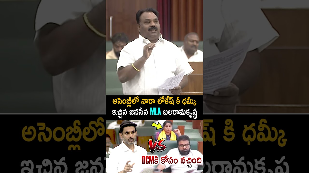 Janasena MLA Balaramakrishna Counter To Nara Lokesh In Assembly