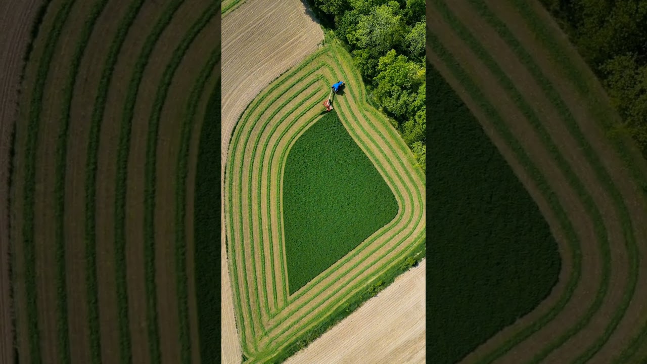 Cutting my 1.7 acre field of alfalfa! #agriculture #farm #farming #Timelapse #newholland #farmer