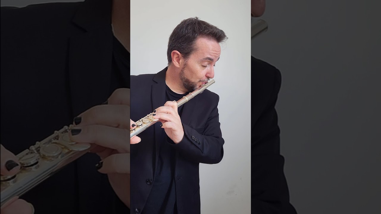 Andantino from Concerto in C for Flute and Harp K. 299/297c W.A.Mozart