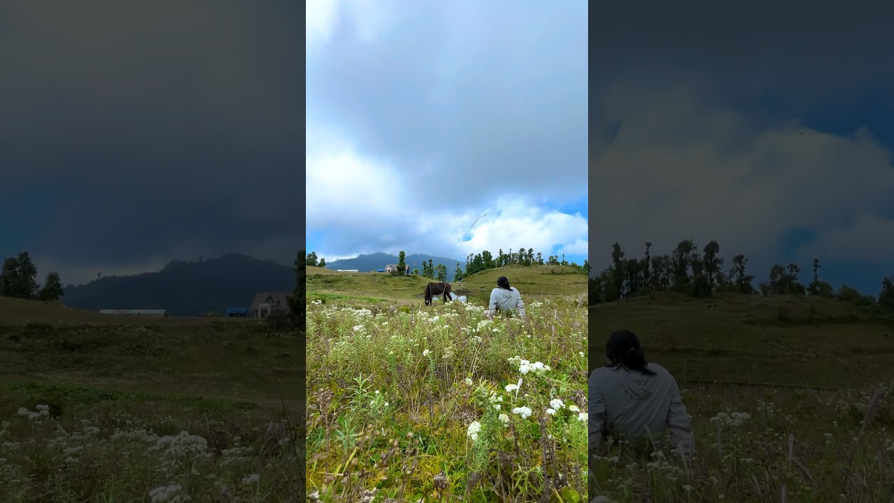 📍Panchthar, 🇳🇵 #firantey #fypシ