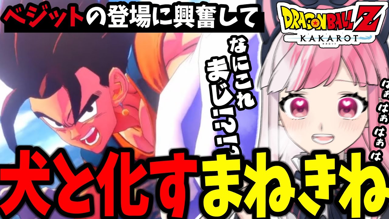 【ドラゴンボール Z KAKAROT】魔人ブウ編の神展開！関係性のオタク、ベジットの登場で大興奮して語彙力が喪失【招猫ユキノ/ReV Project】