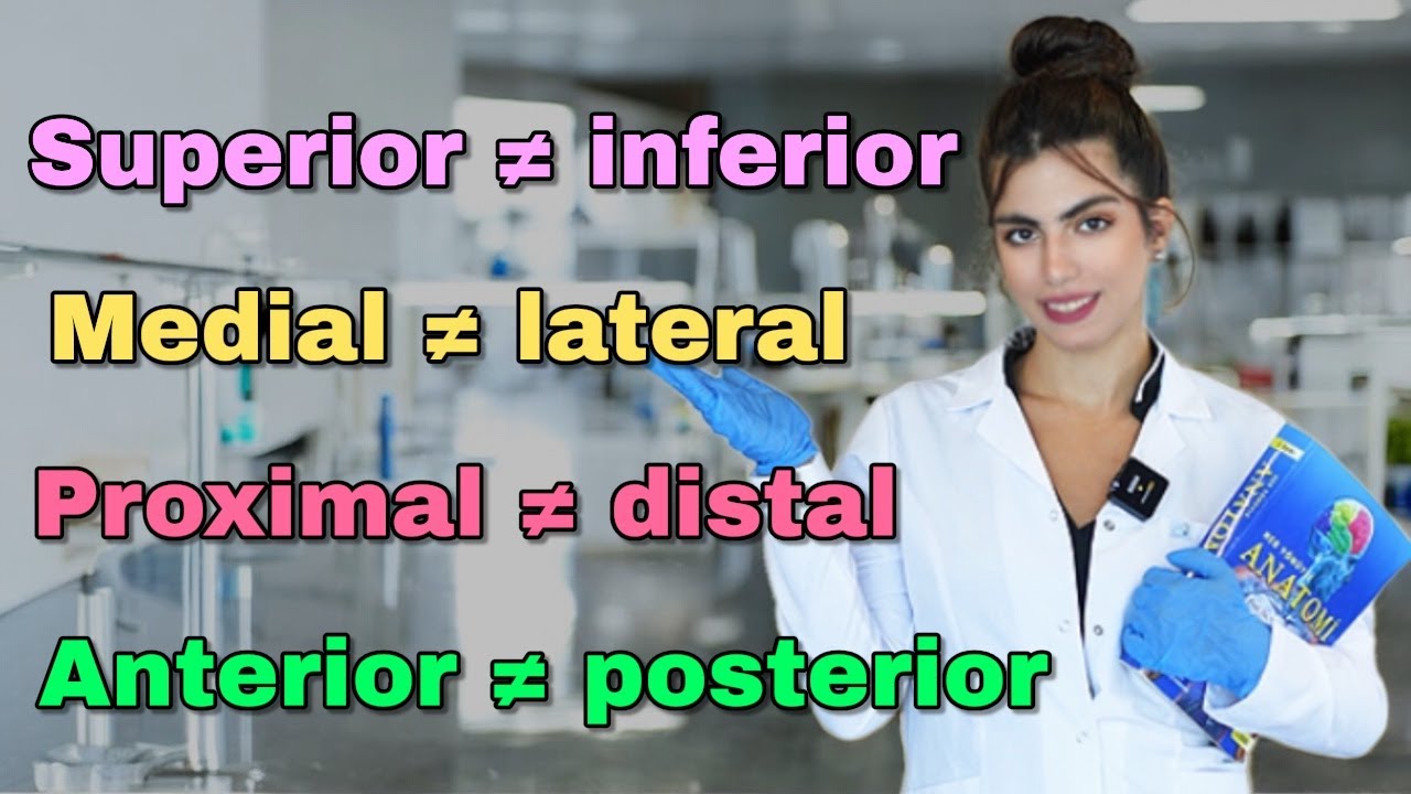 جلسه اول آناتومی | درس یک آناتومی | اصطلاحات جهت یابی در آناتومی | anatomical directional terms