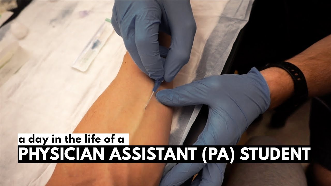 A Day In The Life of A Physician Assistant (PA) Student!