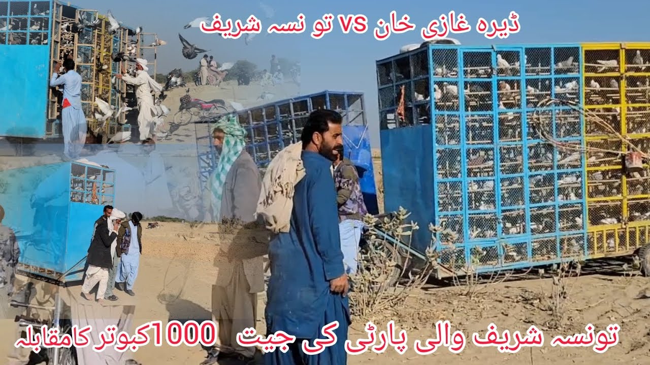 1000 kabutar ka Mukabala 500 kabutar ek side DG Khan ka Mukabala kaun sa Sharif