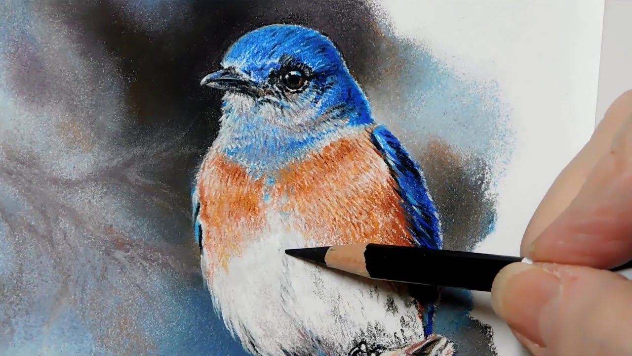 Bluebird Pastel Painting Demo