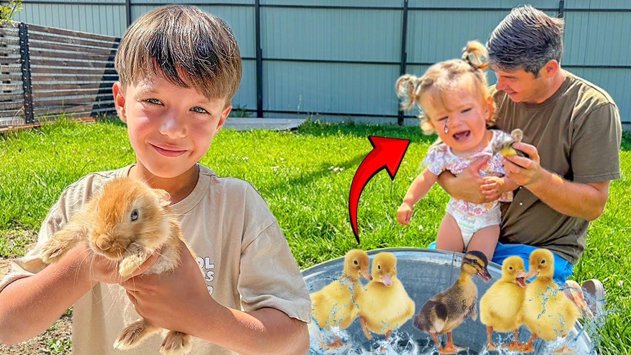 Лорис БОИТСЯ УТЁНКА и КРОЛИКА ‼️/ НЕУДАЧНЫЙ сюрприз 😰