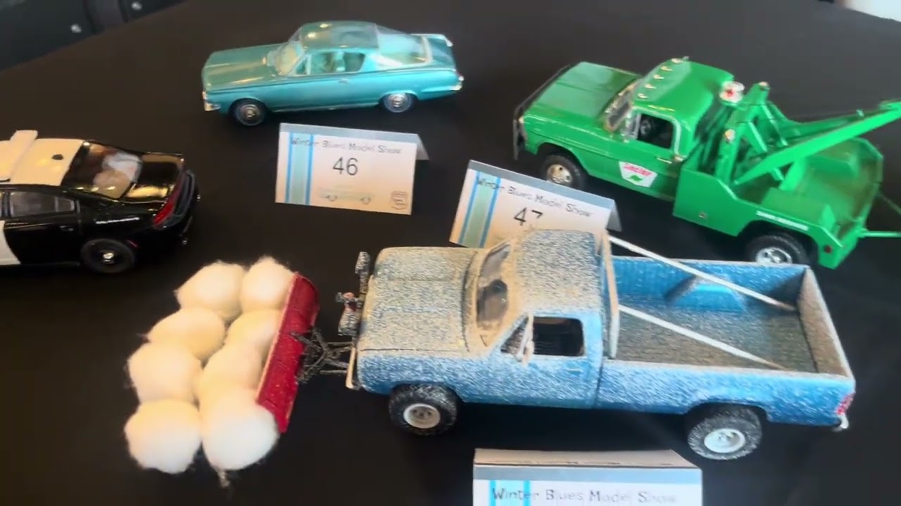 Winter blues car show in Oaklawn Illinois ￼
