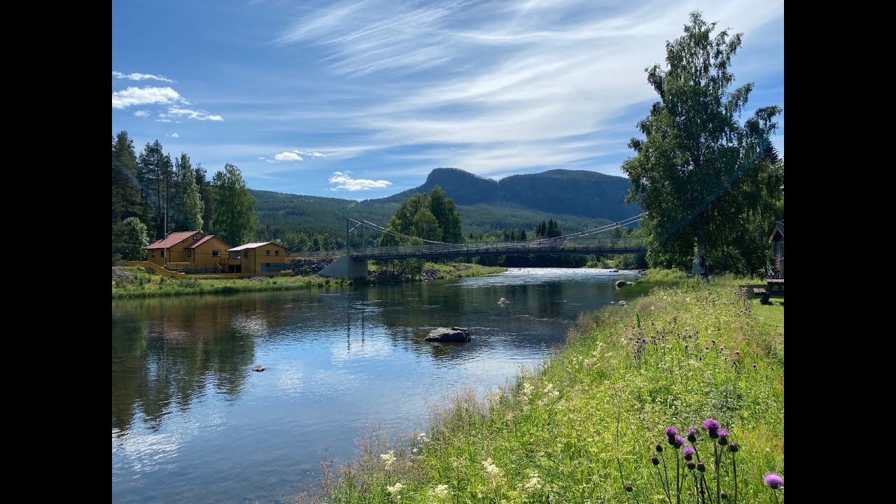 Ørretfiske i Hallingdalselva