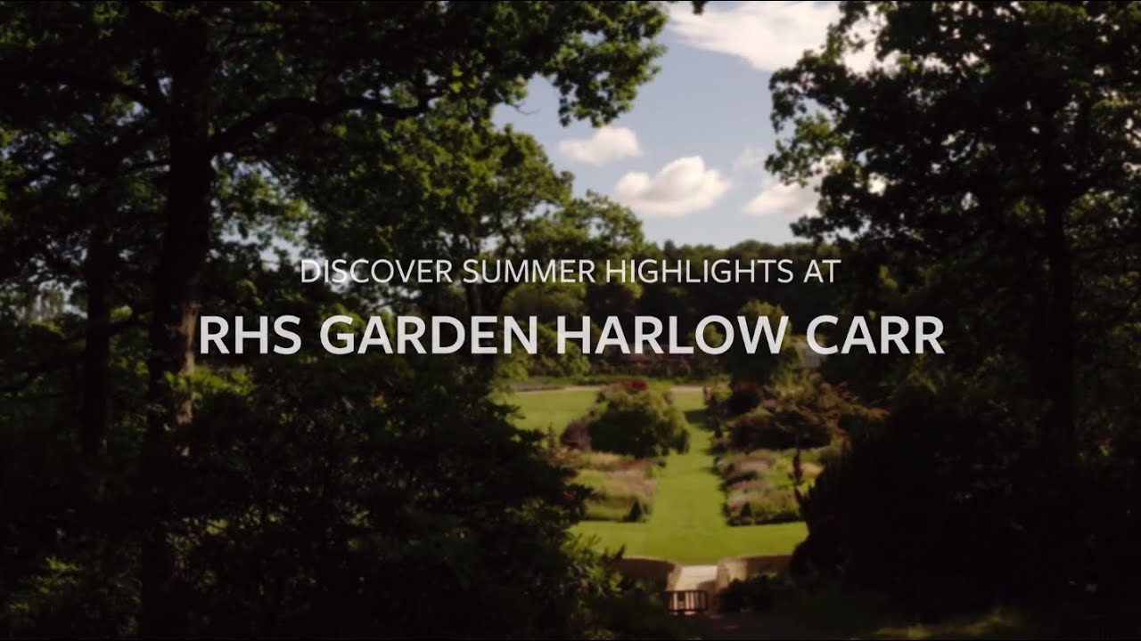 Summer highlights at RHS Garden Harlow Carr | The RHS
