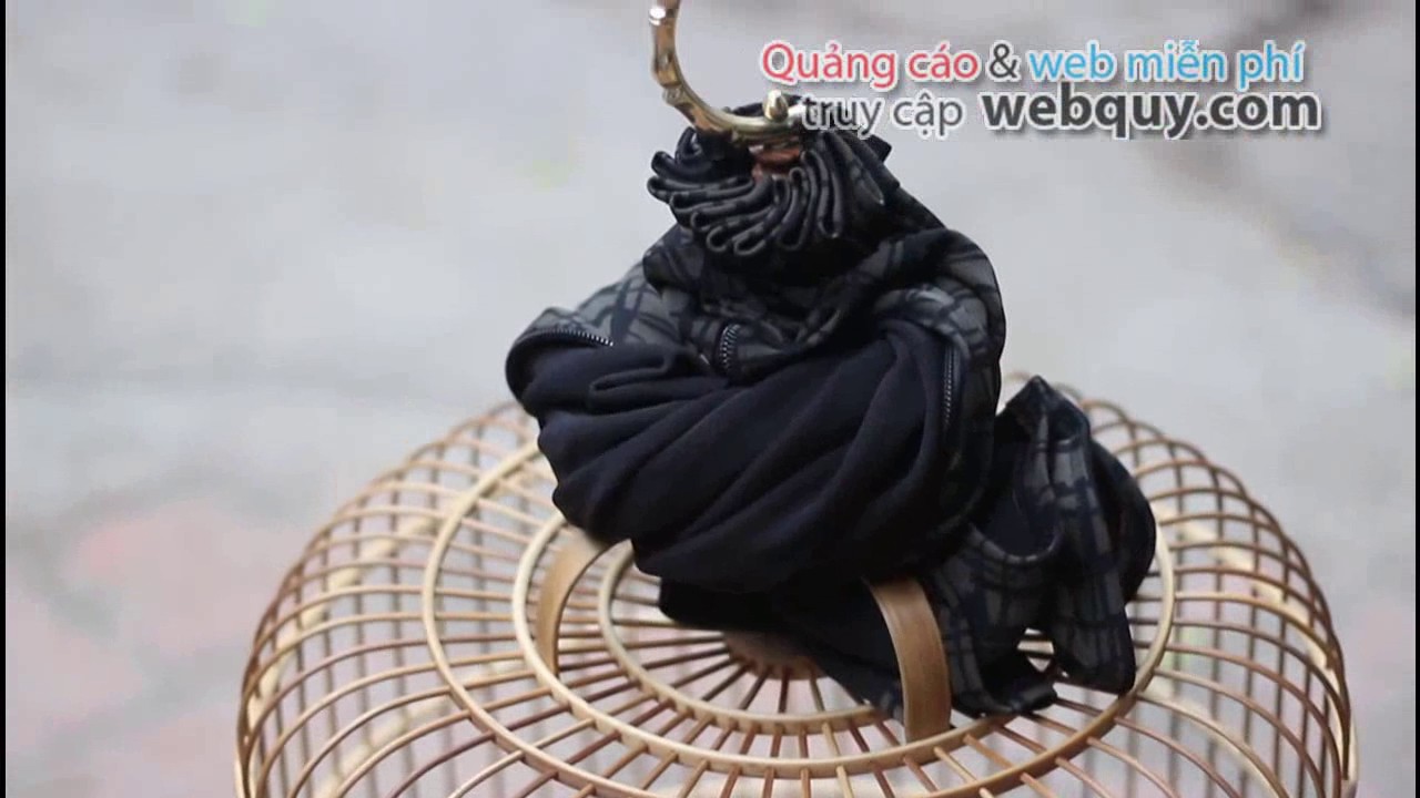 B&Aacute;N LỒNG CHIM HỌA MI, LỒNG VAI VU&Ocirc;NG
