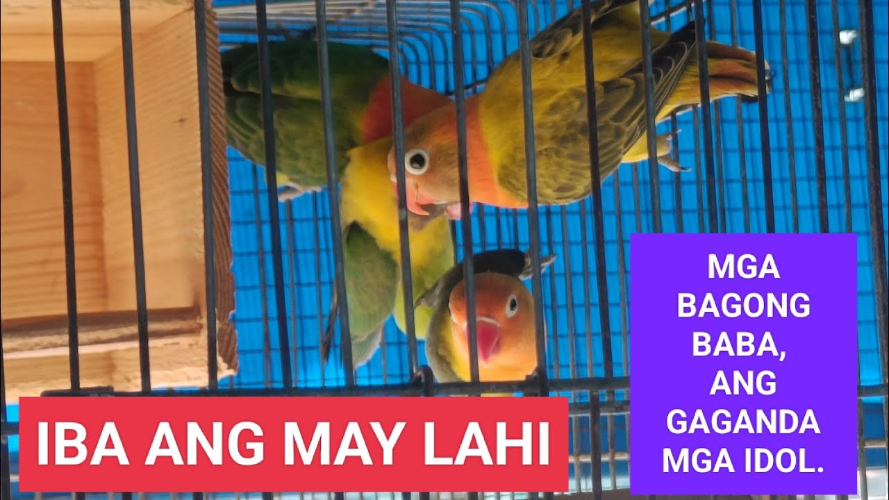 UPDATE LANG SA ATING LIBANGAN
