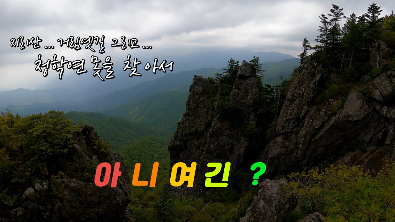 지리산 거림옛길 창불대 청학연못 길을 잃을뻔