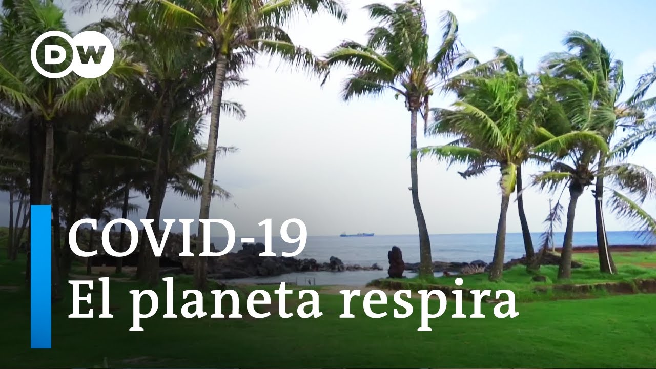 El medioambiente, beneficiario inesperado de la pandemia
