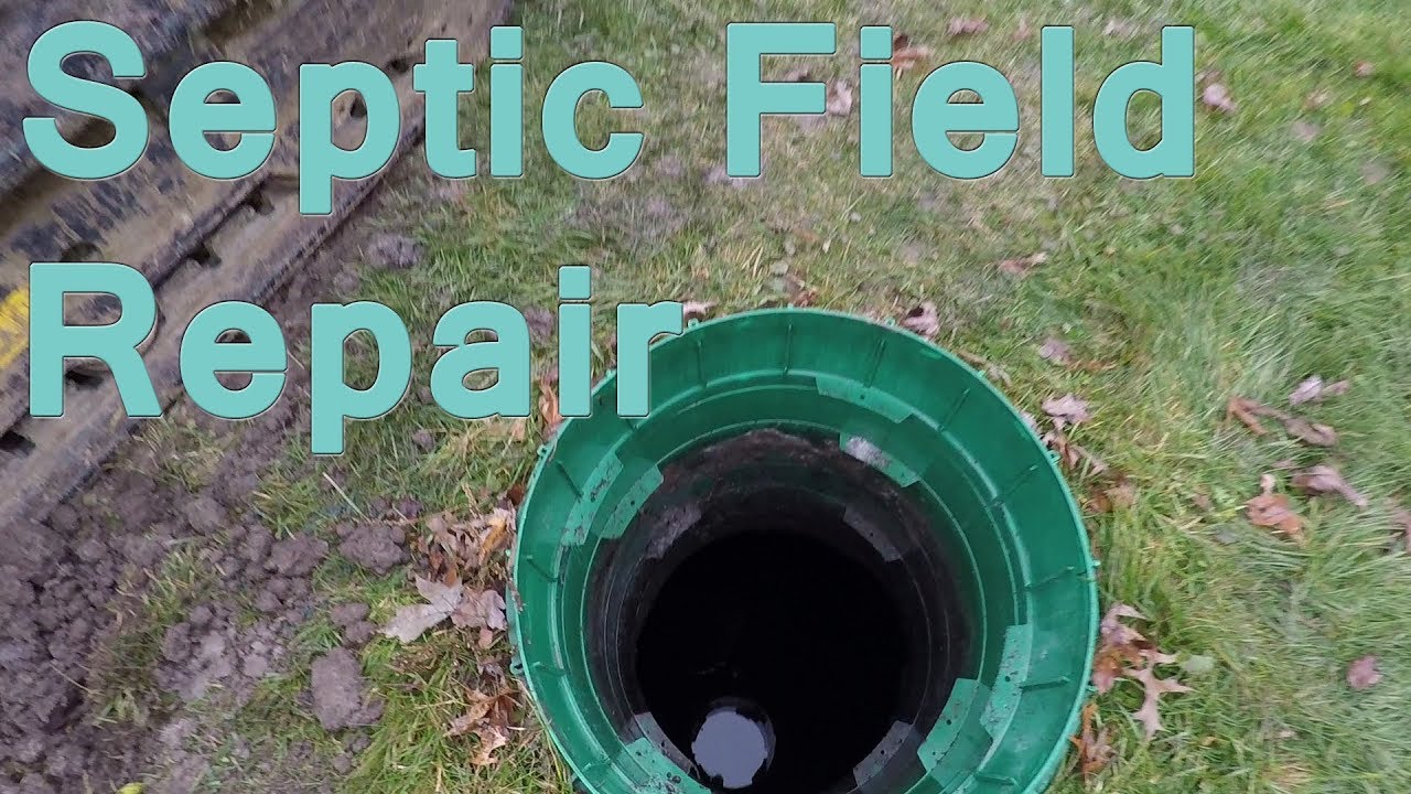 Septic Field Restoration