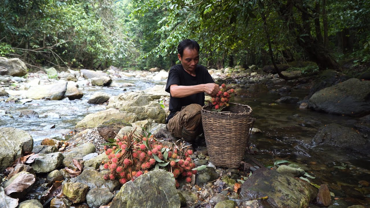 One Bountiful Day &ndash; The Wild Rambutan Harvest | LIVING OFF THE GRID | Episode 69