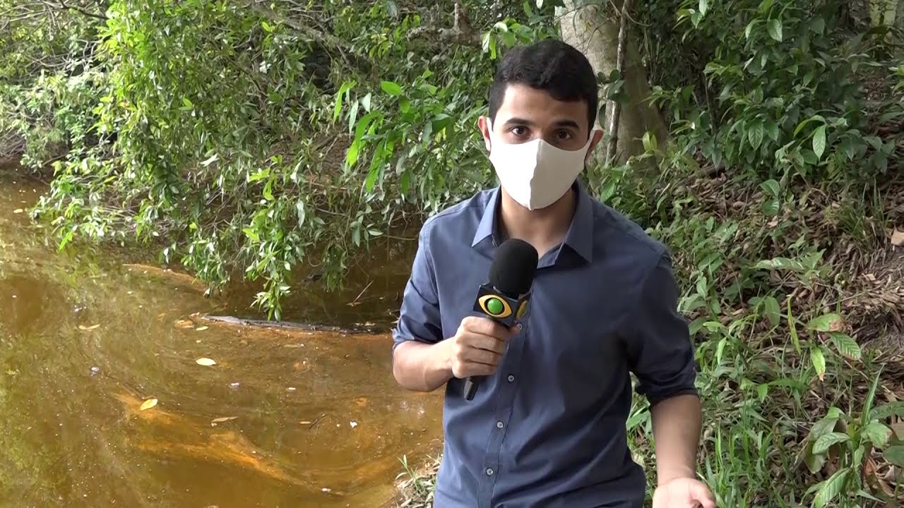 Abate do jacaré: Impactos da atividade fora das áreas de manejo