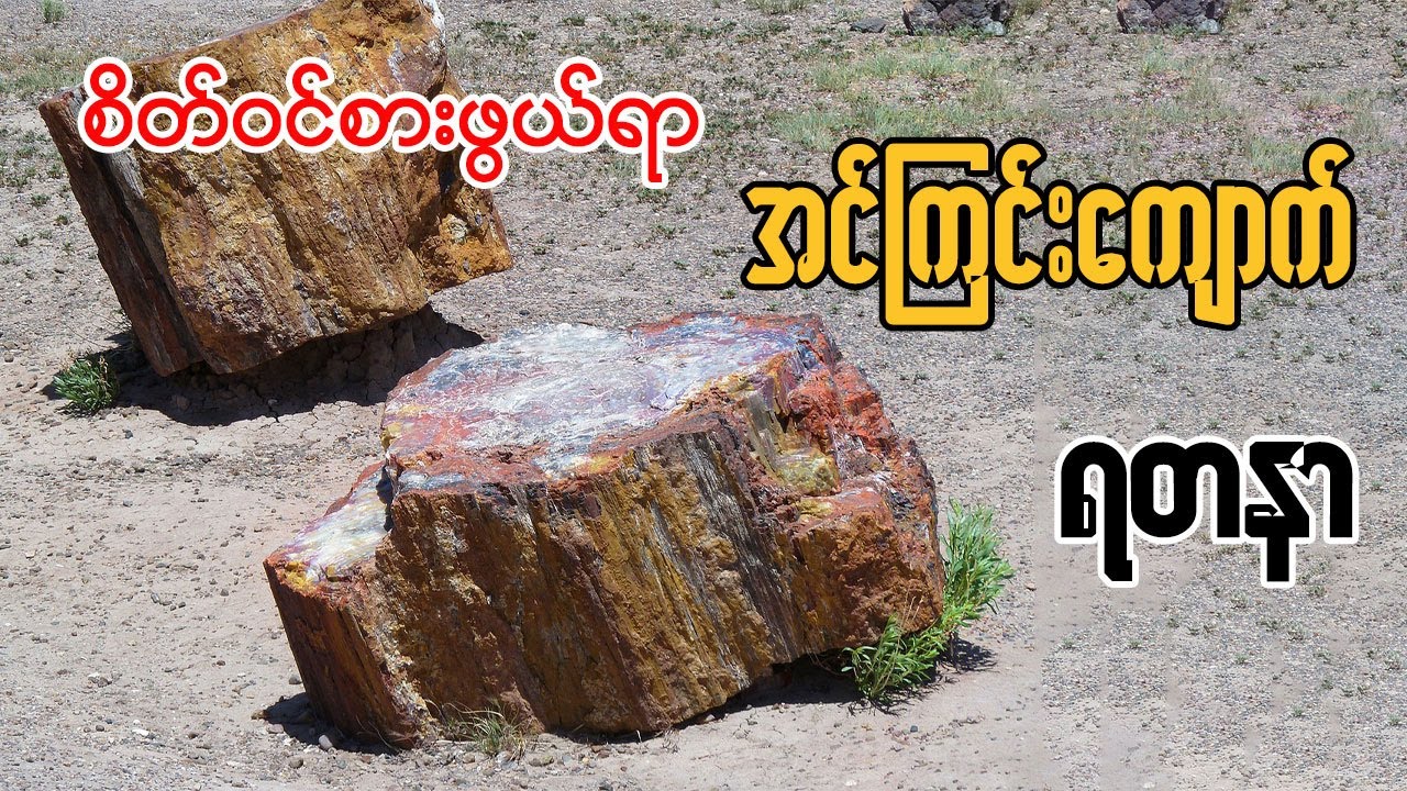 စိတ်ဝင်စားဖွယ်ရာ အင်ကြင်းကျောက် ရတနာ #petrifiedwood