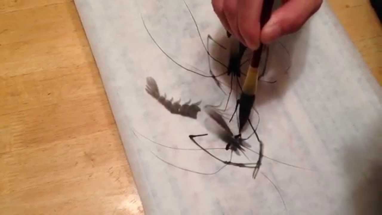 画虾 (shrimp painting by Lin Li)