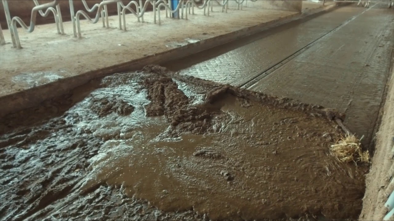 SEZER Hidrolik Gübre Sıyırıcı: Gübre Derdine Son! | Hydraulic Manure Scraper | Racleur Hydraulique