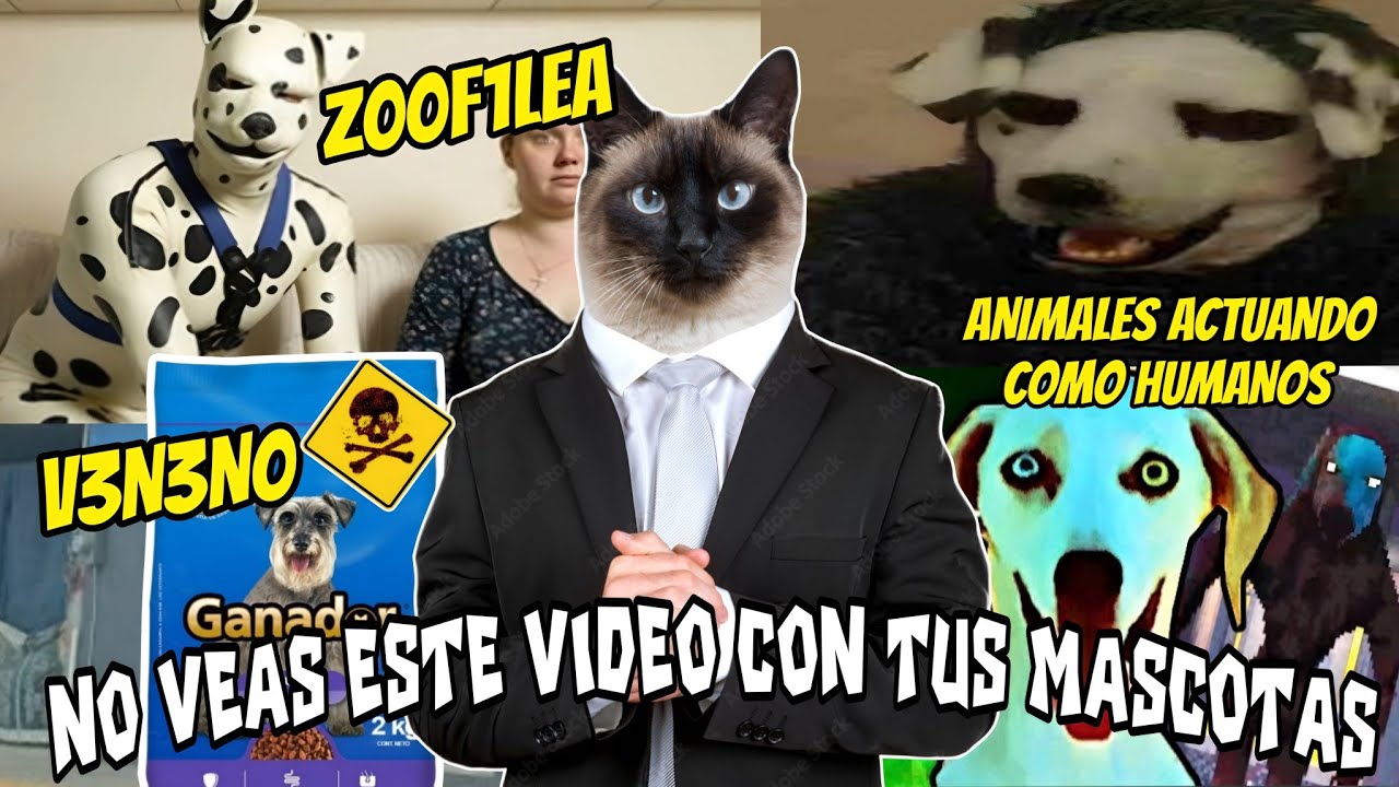 CUIDATE DE TUS MASCOTAS ⚠️💀 |HISTORIAS MACABRAS CON MASCOTAS