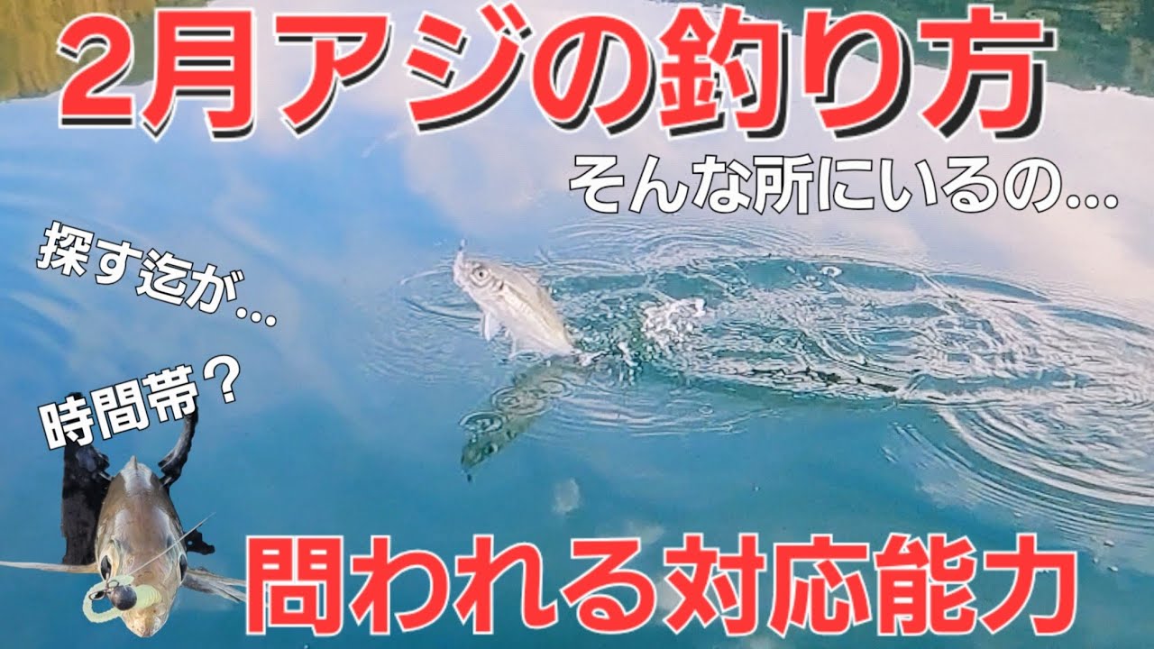 【アジング】2月攻略編。1年で一番水温が低い季節。釣り方とアジングポイントなど