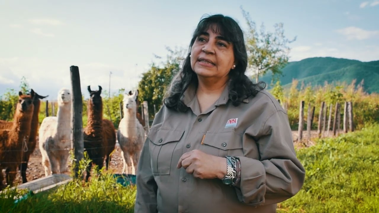 Fascioliasis hepática en animales