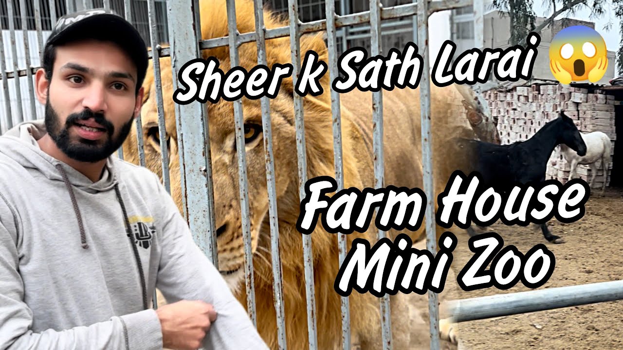 Dost ka Farm House Visit Kiya | Sheer k Sath Larai 😂 | Shehroz Asif Vlogs