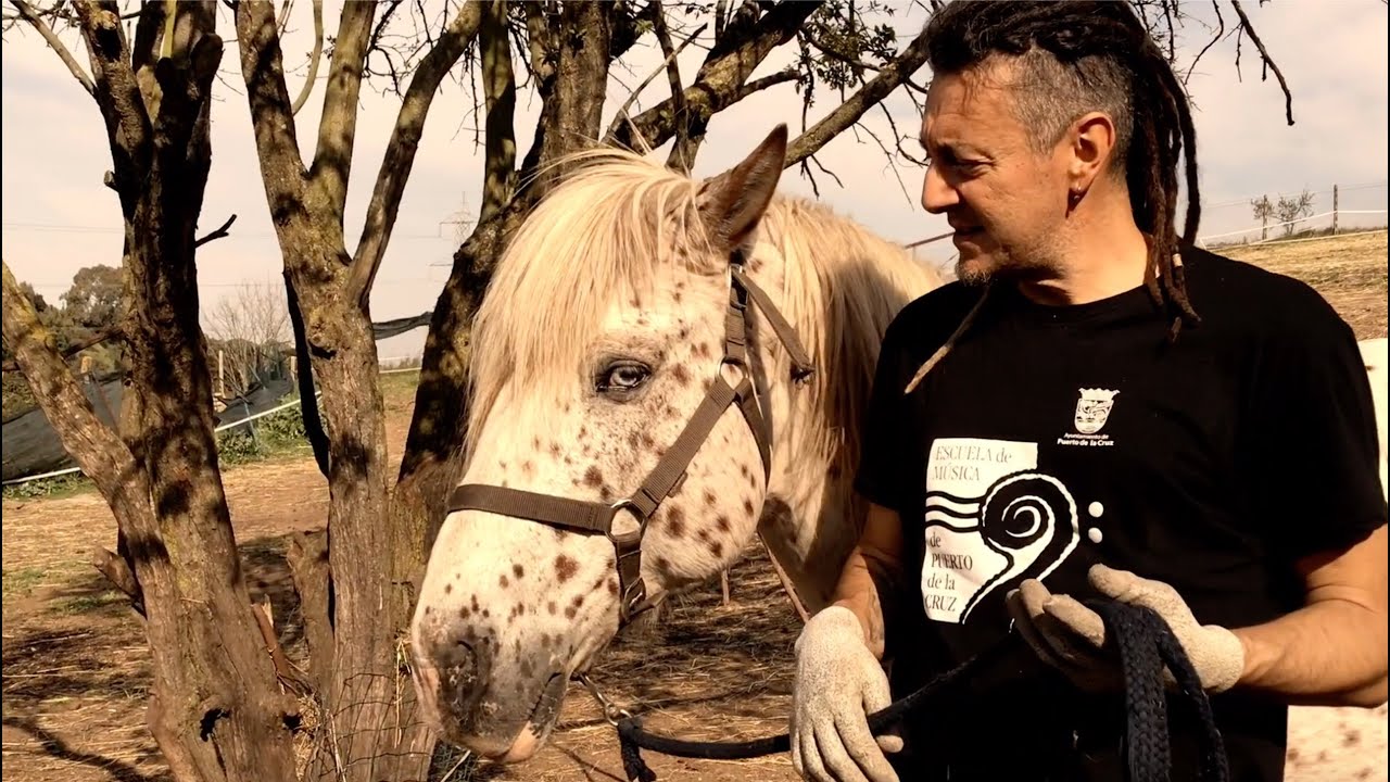 COVID19 EMERGENCY: Hoof care easy tutorial - How to make the mustang roll/ Come fare il mustang roll