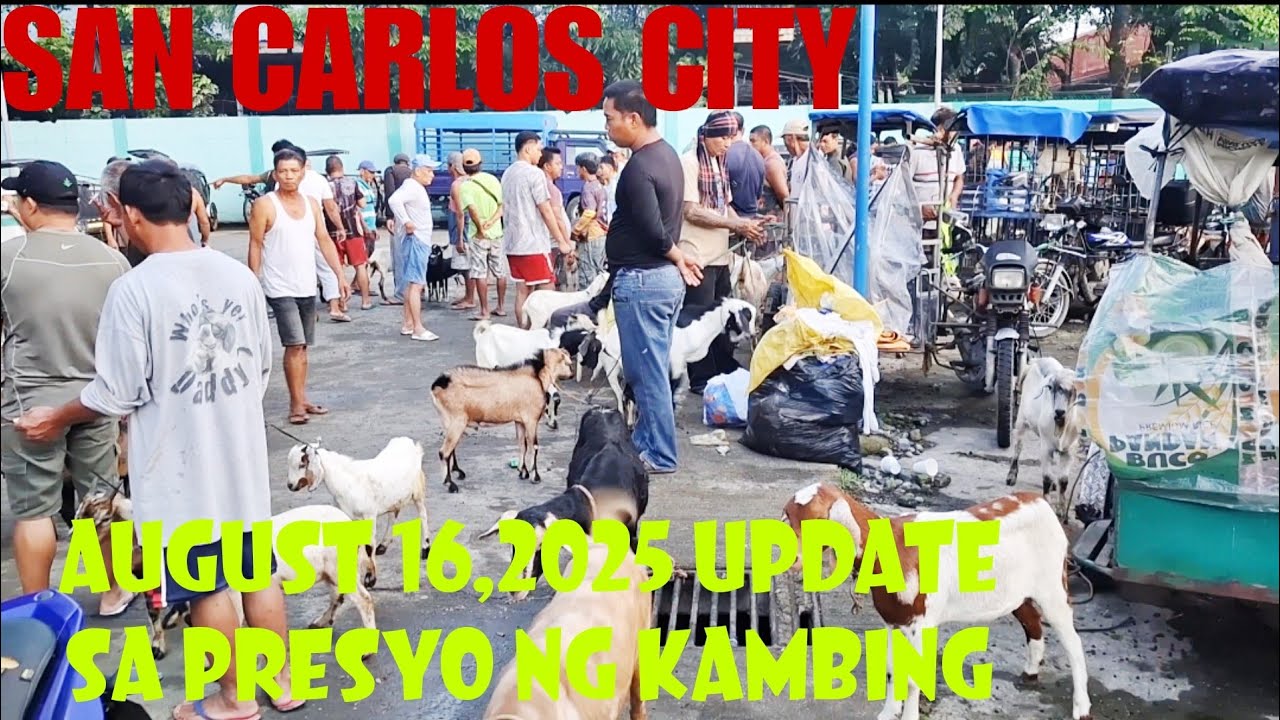 August 16, 2025 Update sa Presyo ng Kambing sa San Carlos City Livestock Market #marketday #goat