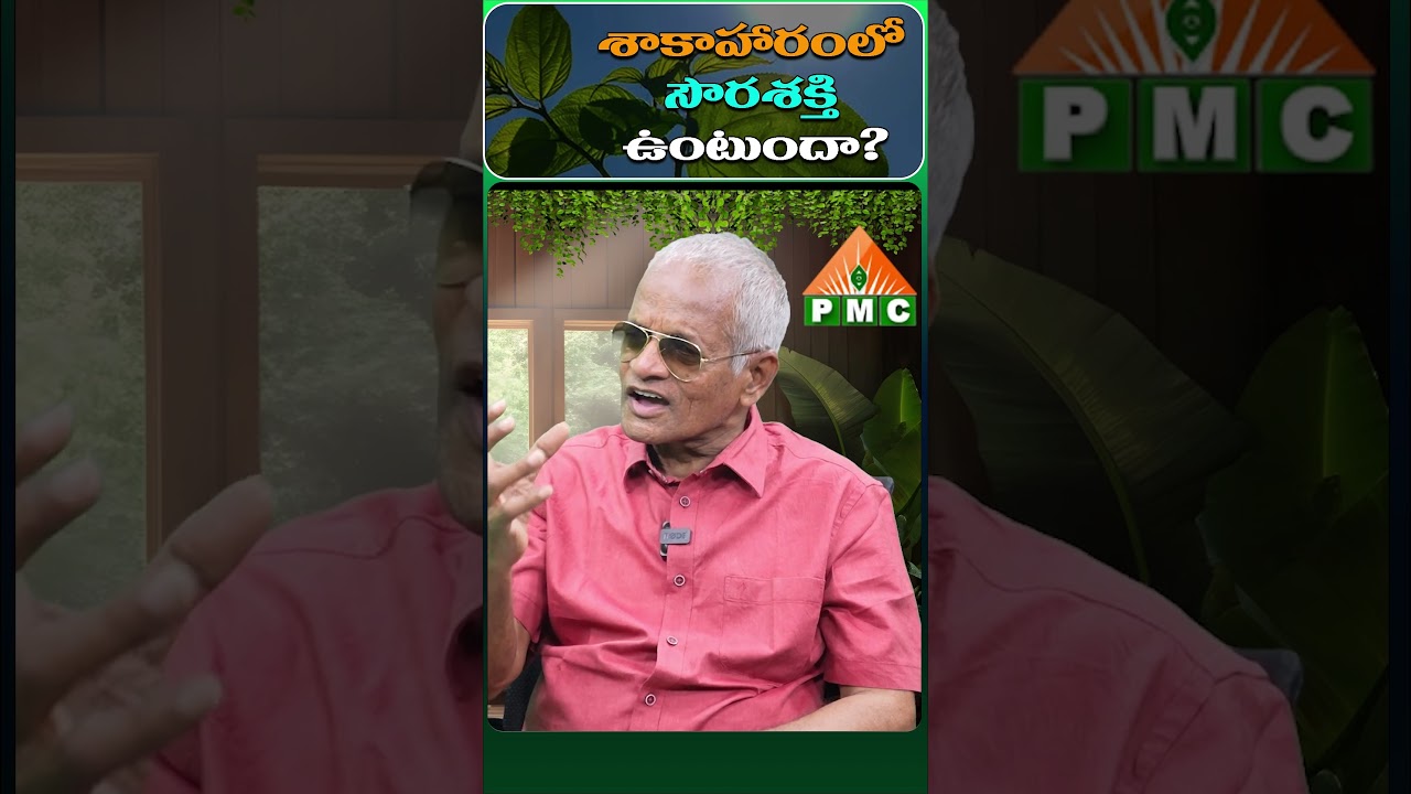 శాకాహారంలో సౌరశక్తి ఉంటుందా?  | Thatavarthi Veera Raghava Rao
