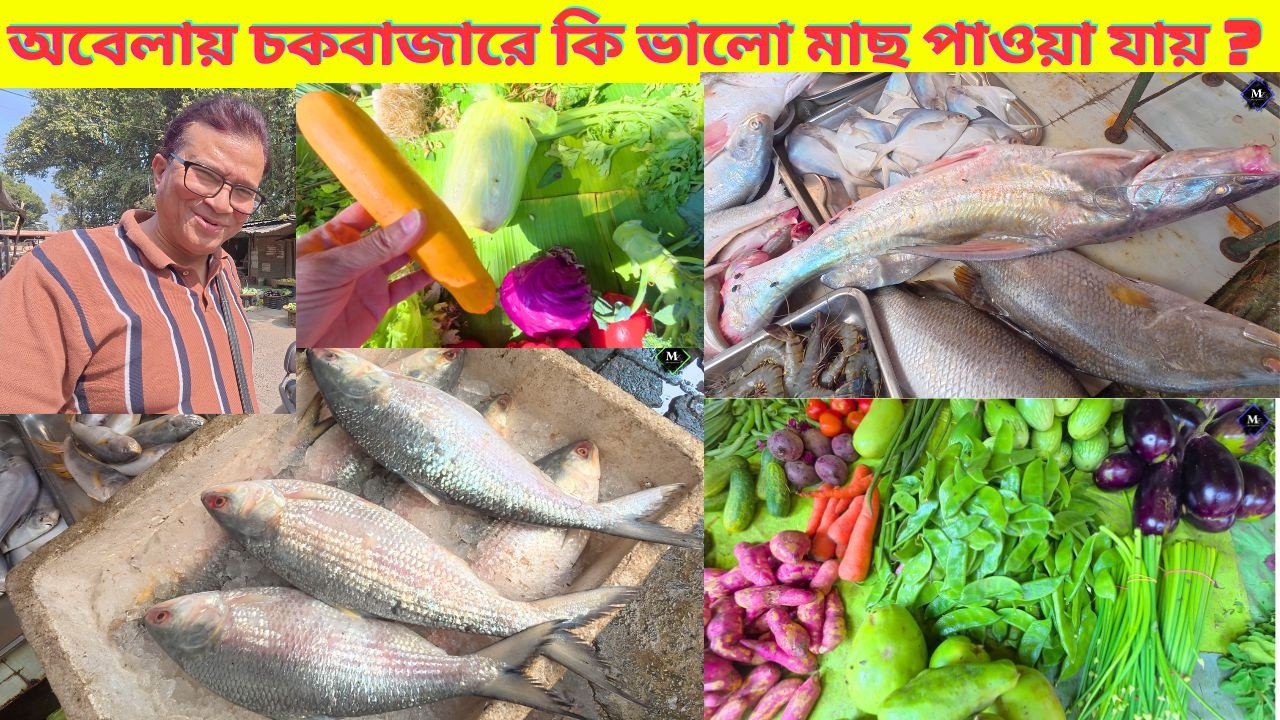 অবেলায় চকবাজারে কি ভালো মাছ পাওয়া যায় ? চলুন দেখি। Fresh Fish Market | Chowkbazar | My Experience |