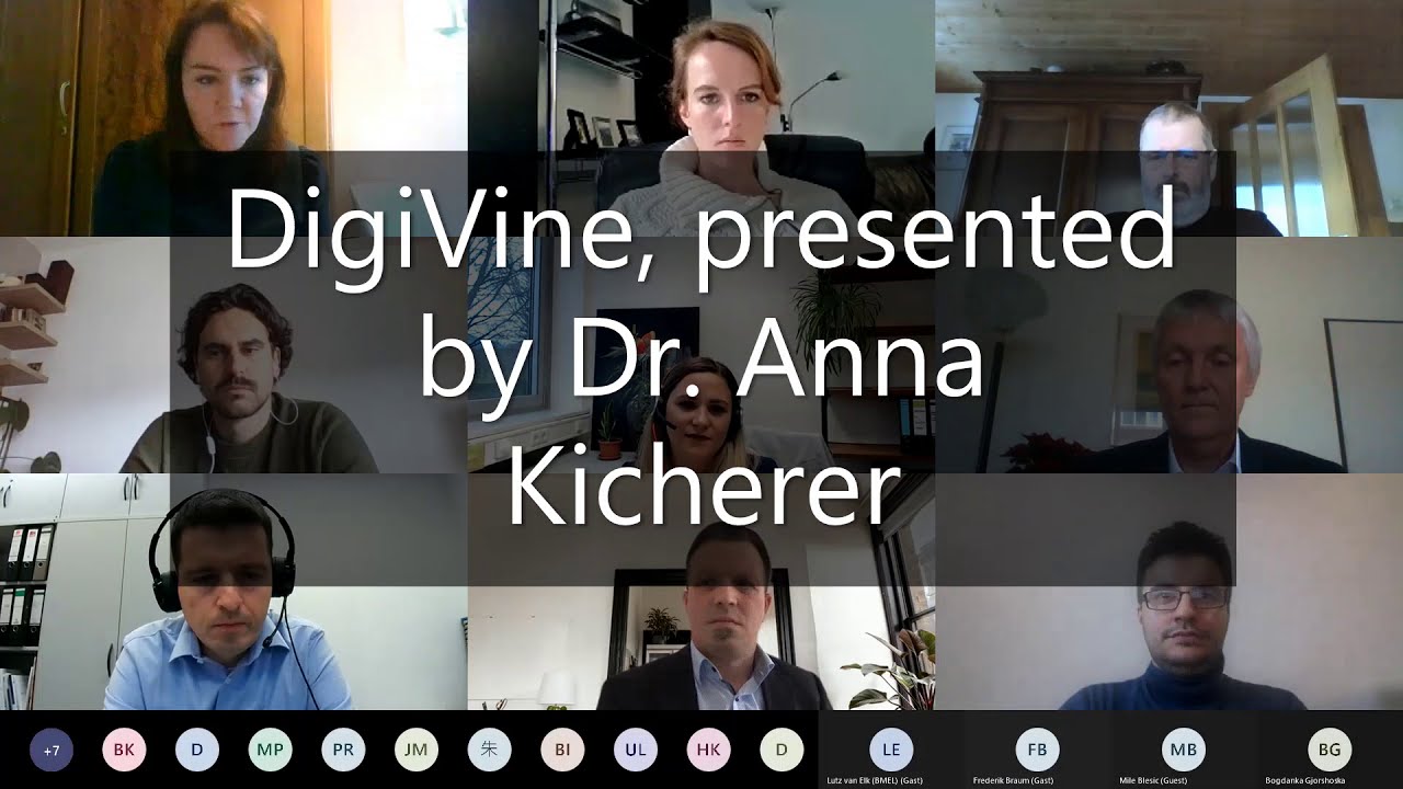 DigiVine: Digitalisation in the viticulture value adding network - from planting to grape delivery