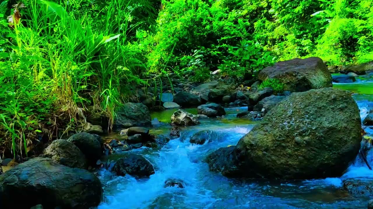 Waterfall Sounds in the Forest, River Sounds for Relaxation, Water Sounds for Stress Relief