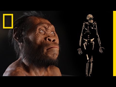 Обнаружен новый предок человека: Homo naledi (ЭКСКЛЮЗИВНОЕ ВИДЕО) | National Geographic