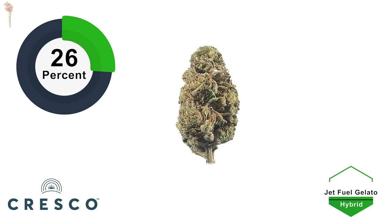 Strain Review: Jet Fuel Gelato | Budder Cone: Quick & Easy