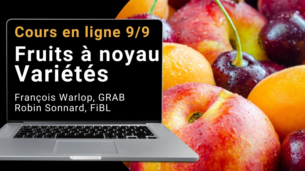 Cours en ligne 9/9 BIOFRUITNET:  fruits à noyau variétés